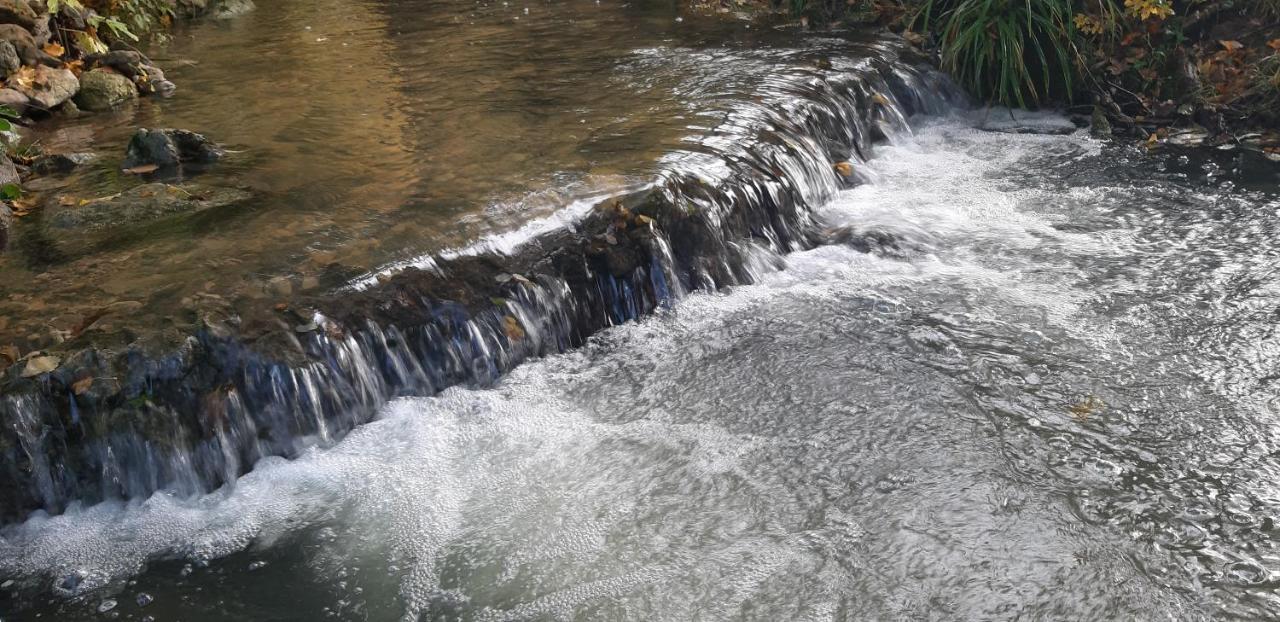 Live Nature Bihac Luaran gambar