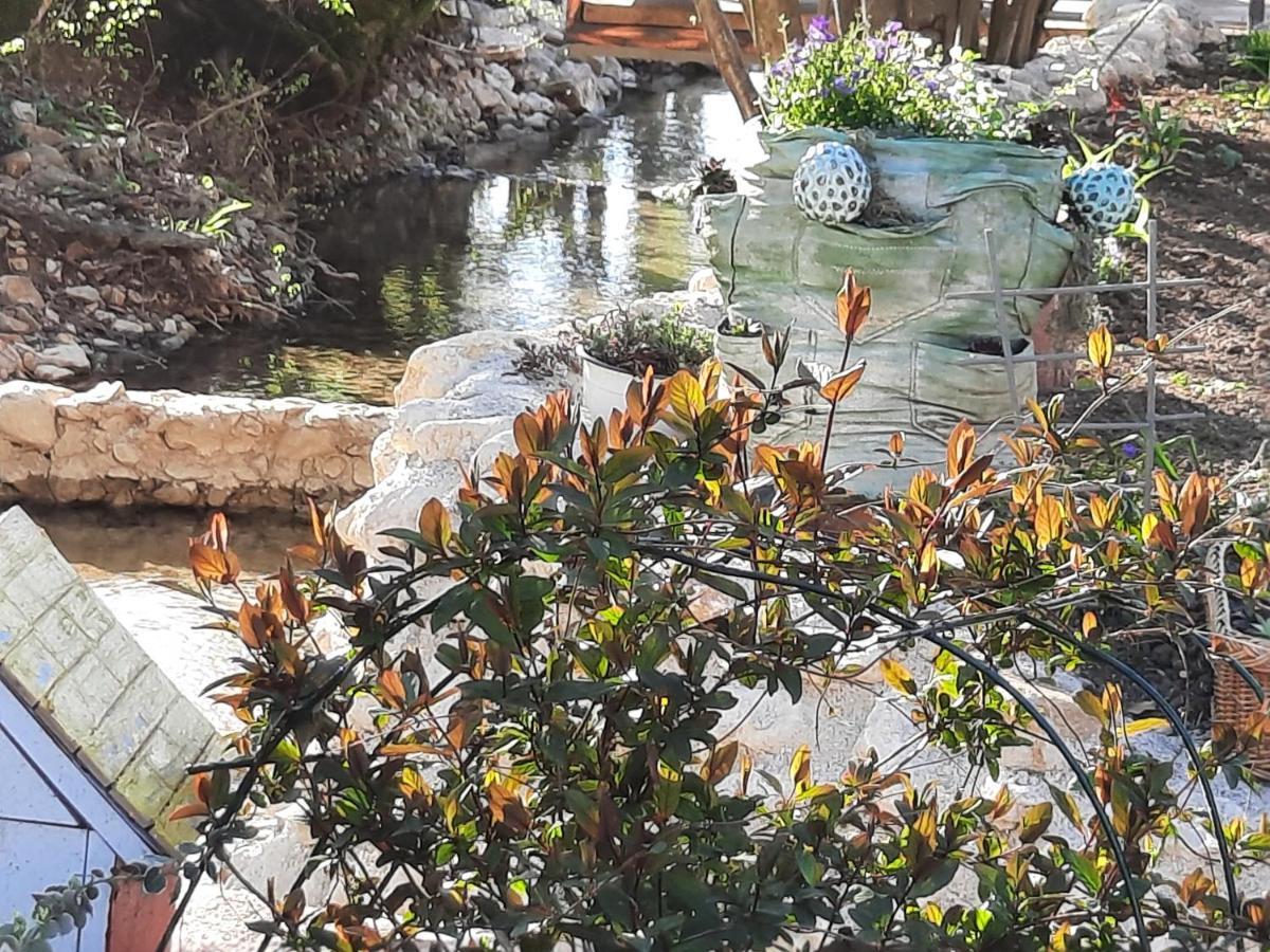 Live Nature Bihac Luaran gambar