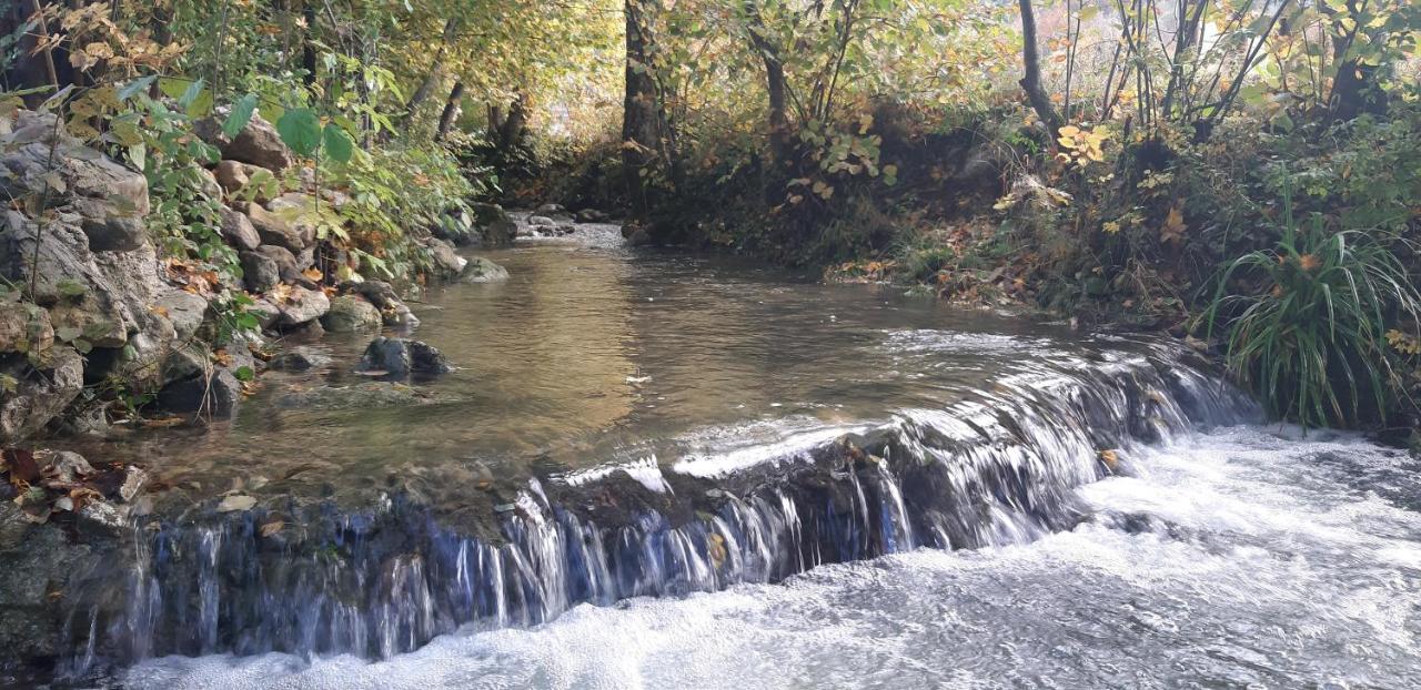 Live Nature Bihac Luaran gambar