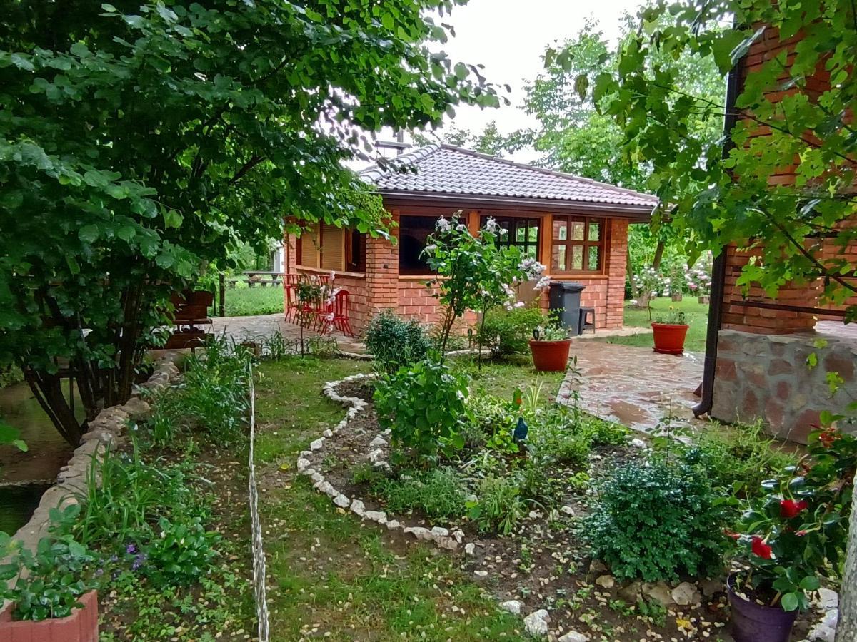 Live Nature Bihac Luaran gambar