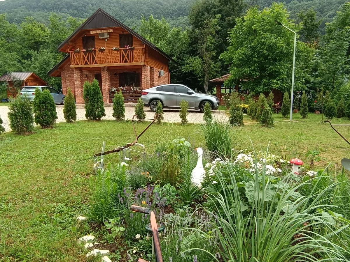 Live Nature Bihac Luaran gambar