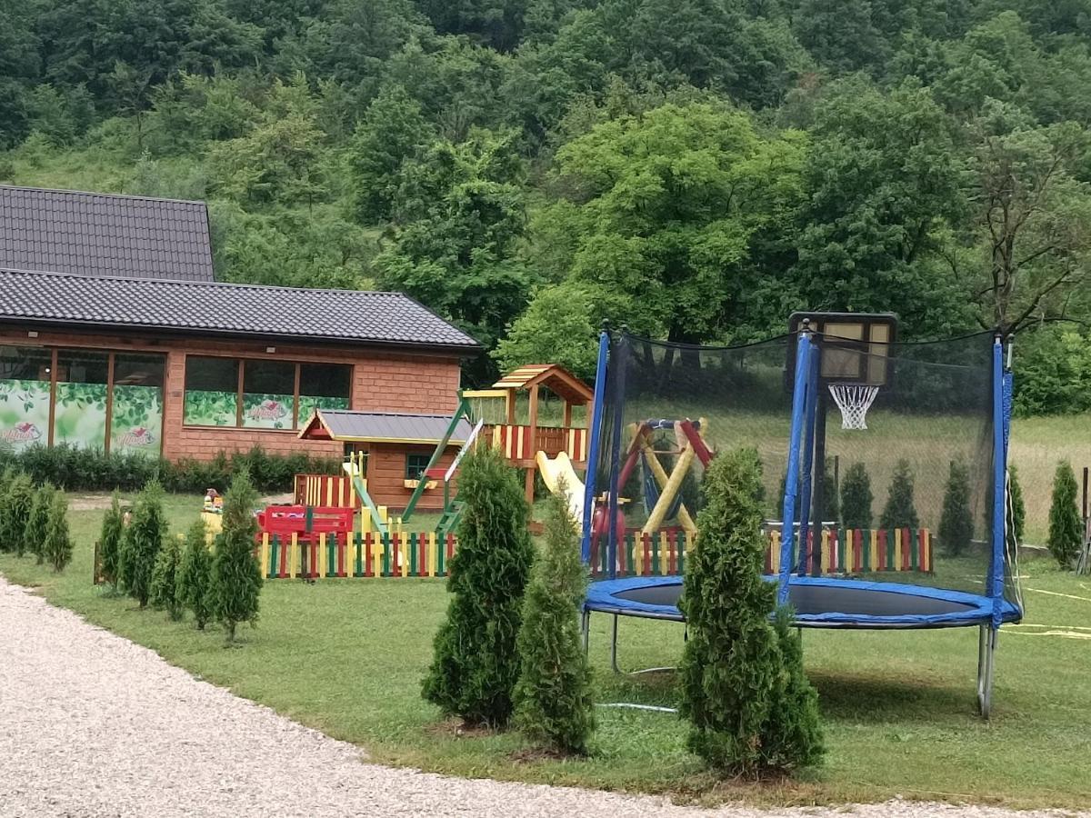 Live Nature Bihac Luaran gambar