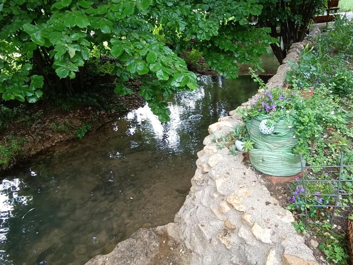 Live Nature Bihac Luaran gambar