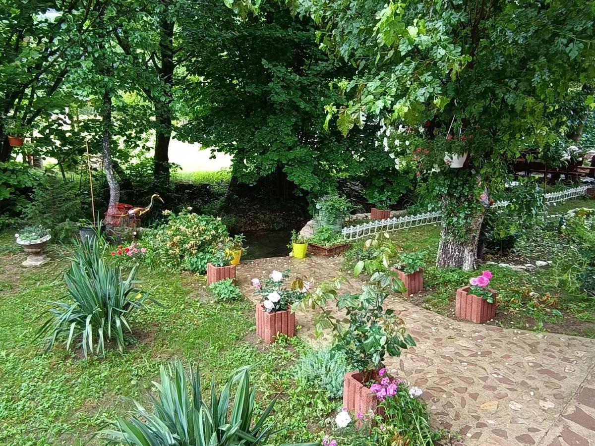 Live Nature Bihac Luaran gambar