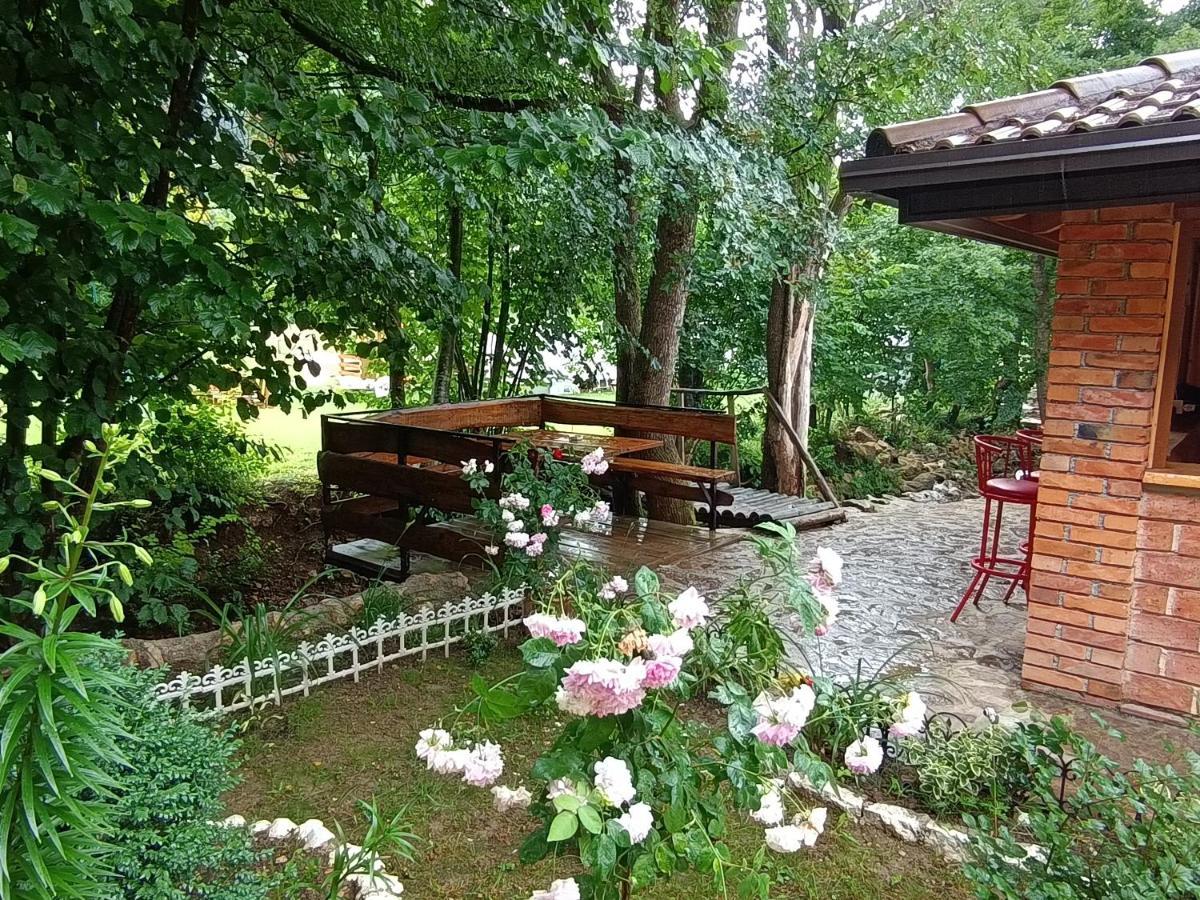 Live Nature Bihac Luaran gambar