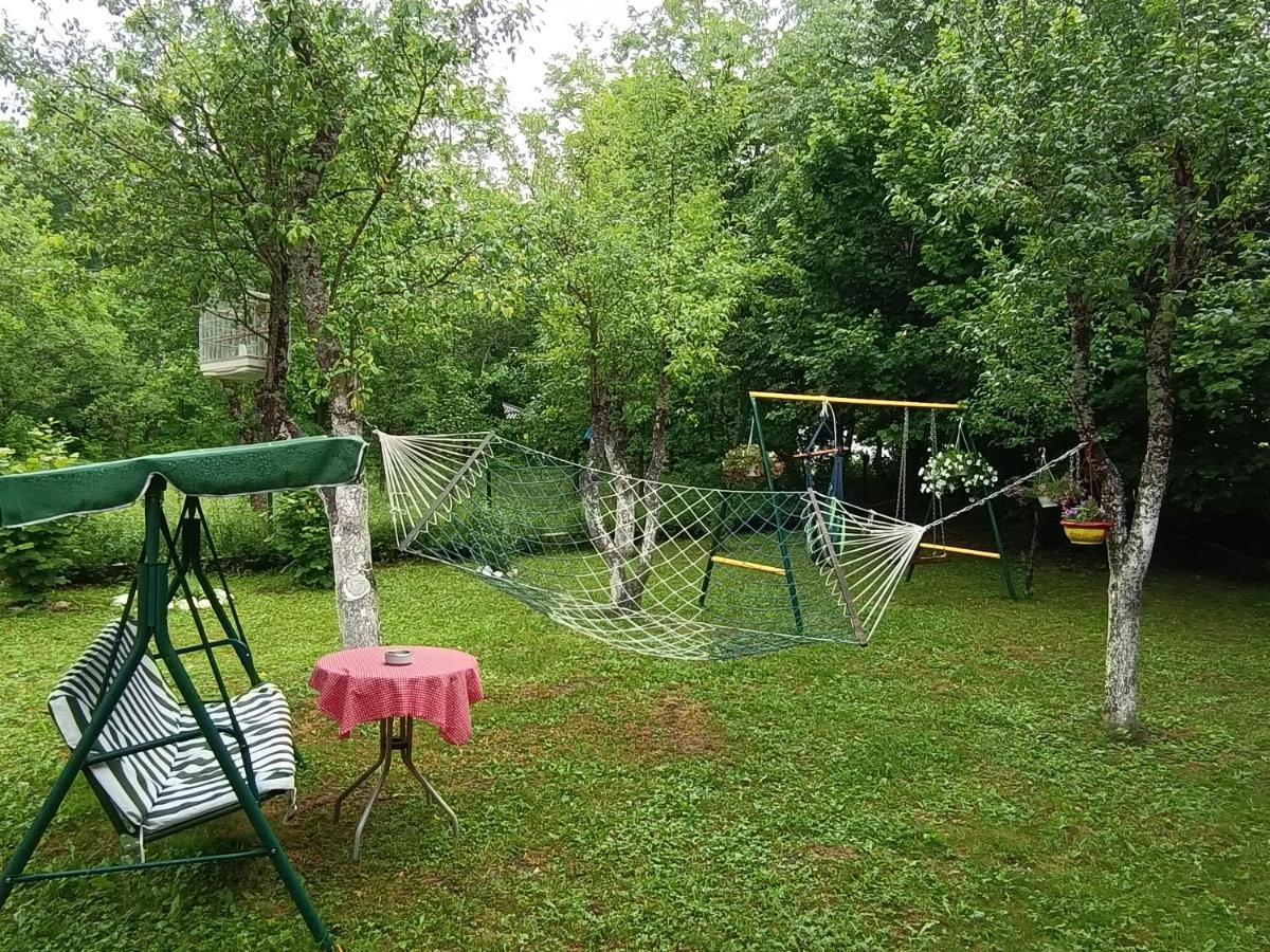 Live Nature Bihac Luaran gambar