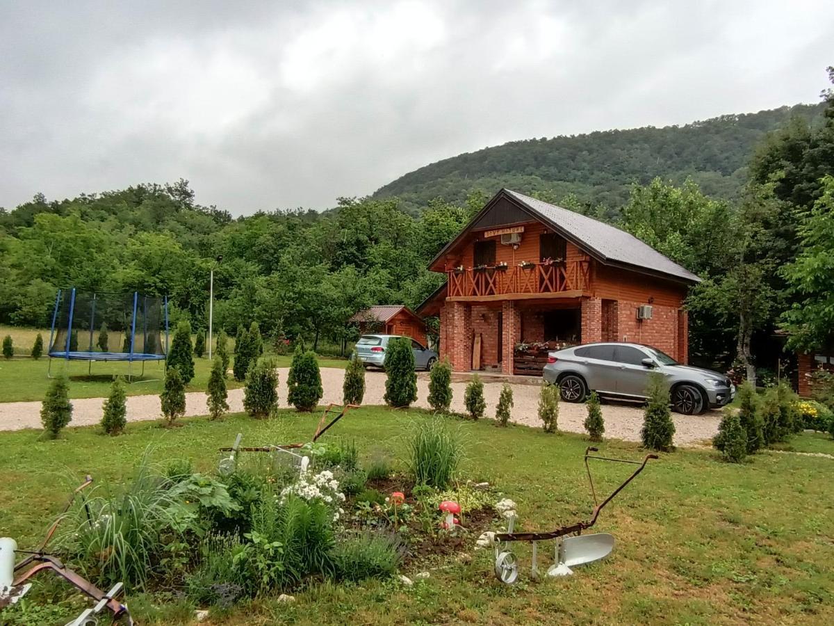 Live Nature Bihac Luaran gambar