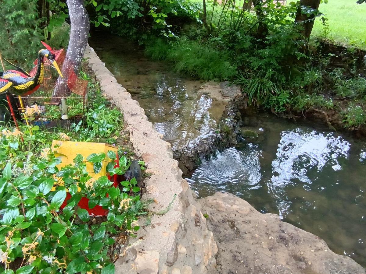 Live Nature Bihac Luaran gambar