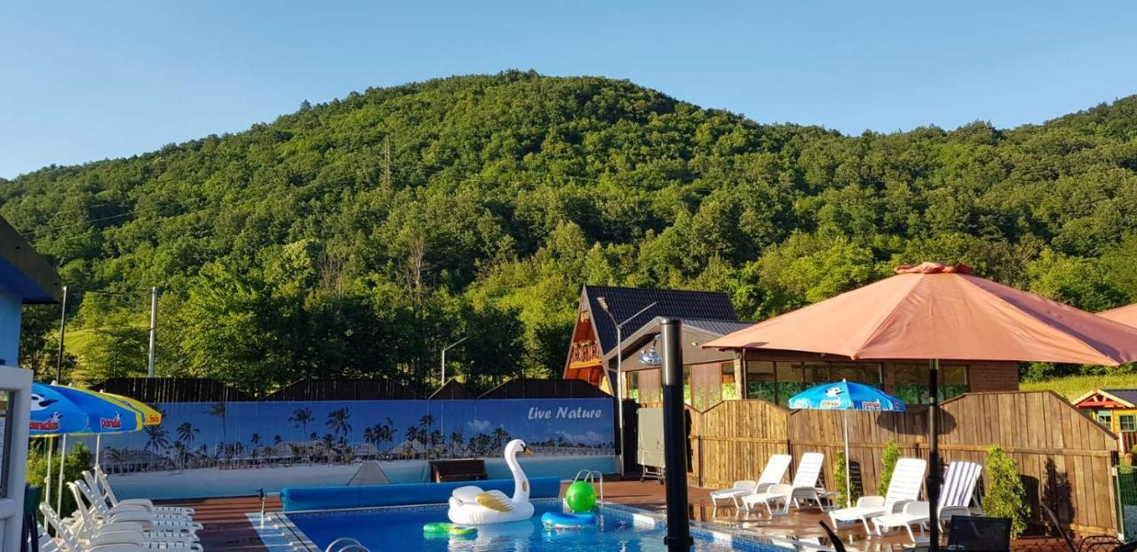 Live Nature Bihac Luaran gambar