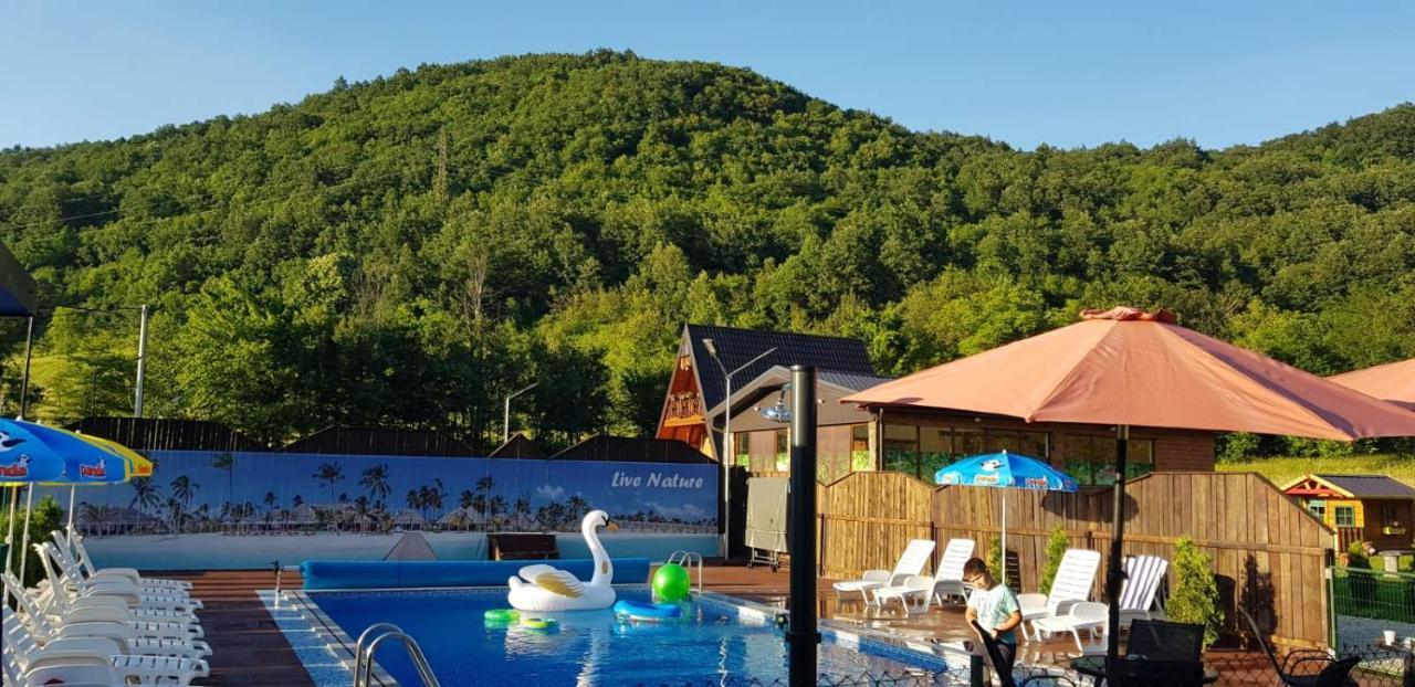 Live Nature Bihac Luaran gambar
