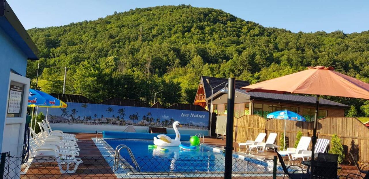 Live Nature Bihac Luaran gambar