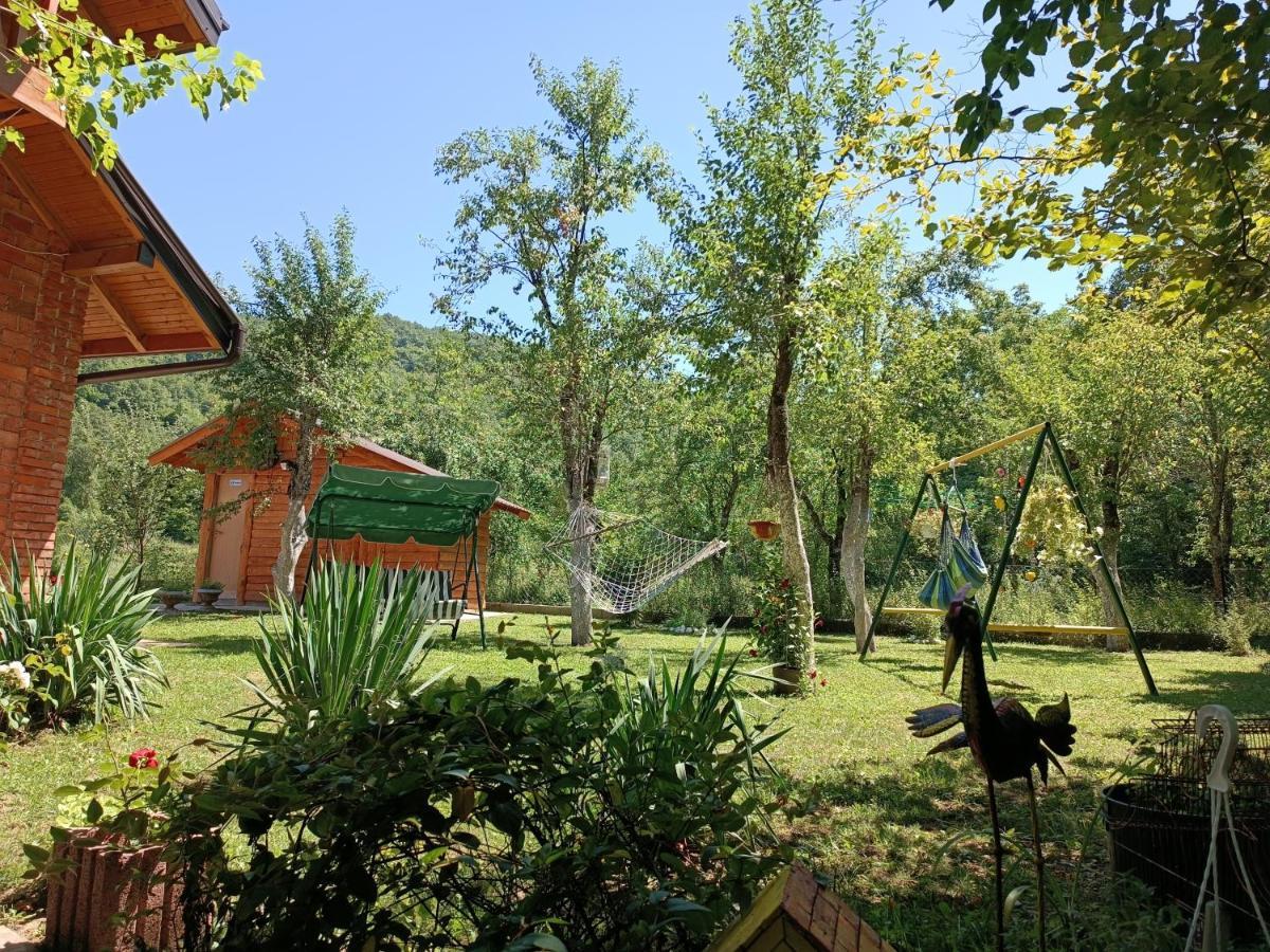 Live Nature Bihac Luaran gambar