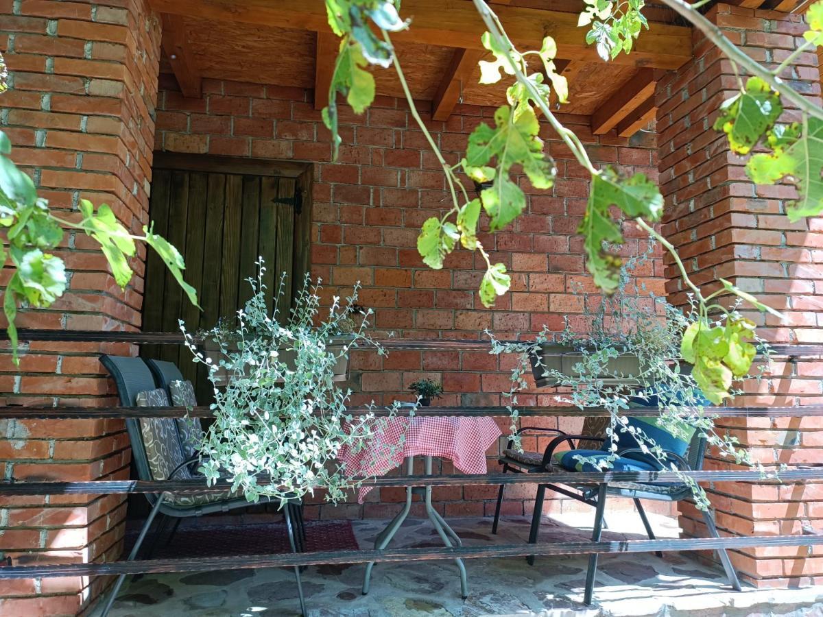 Live Nature Bihac Luaran gambar