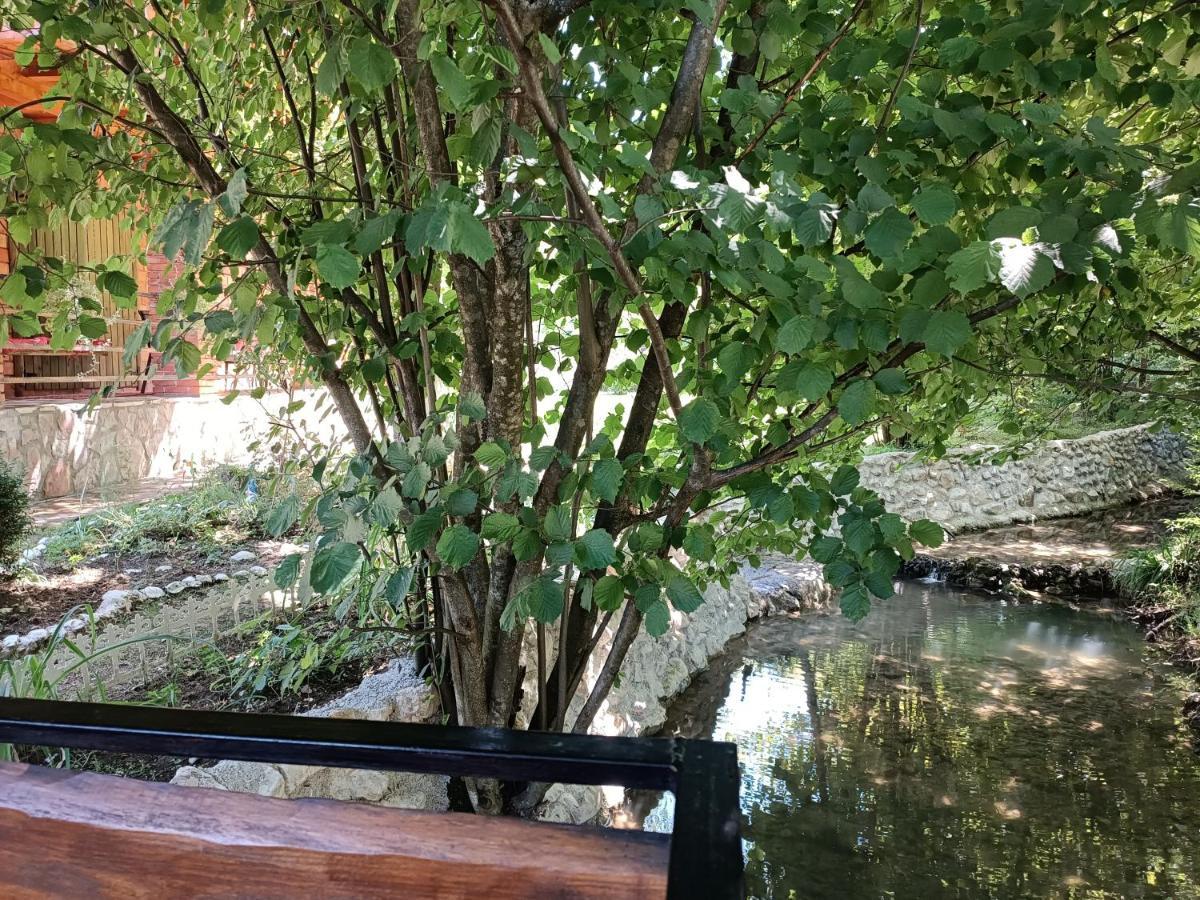 Live Nature Bihac Luaran gambar