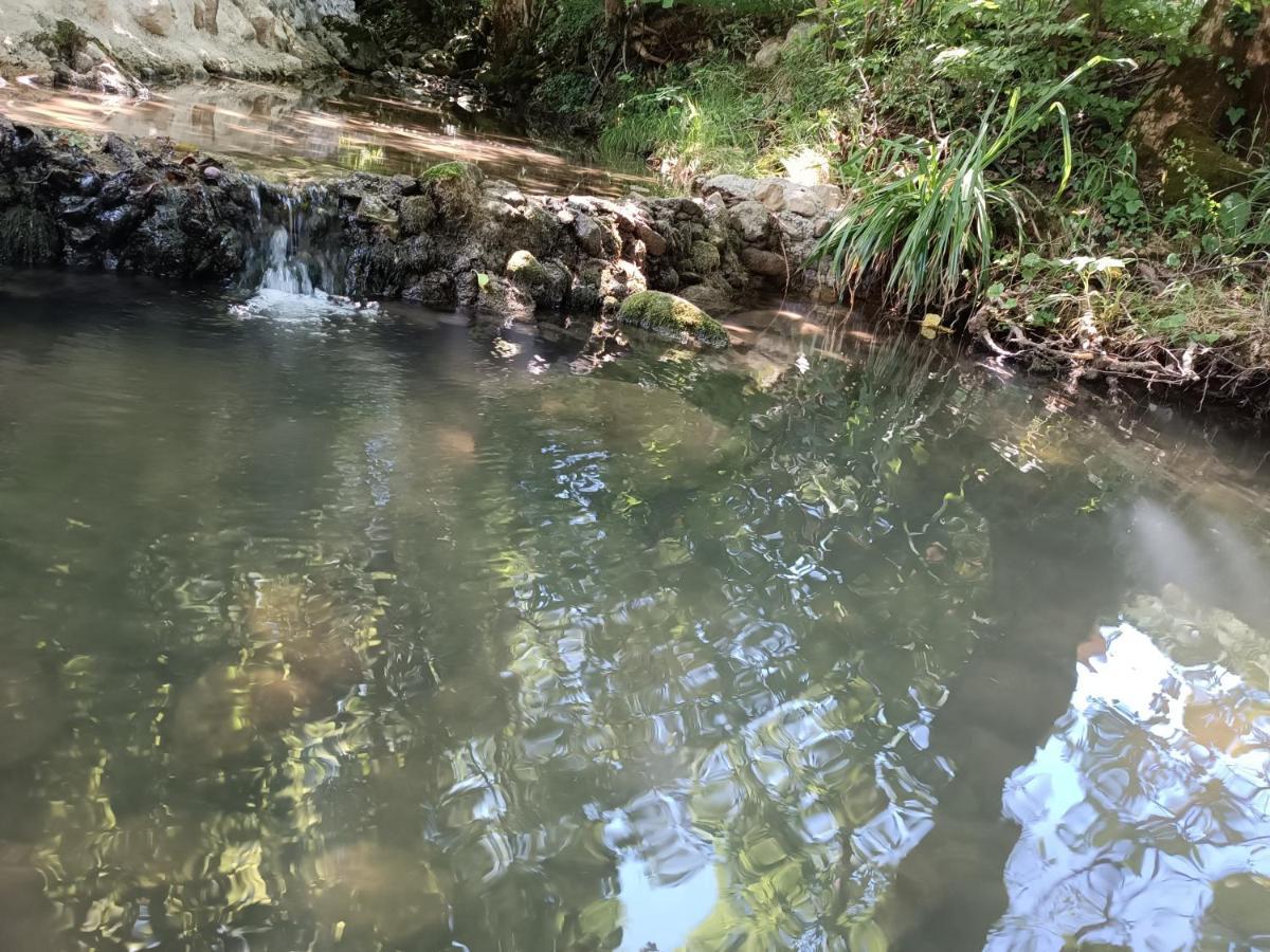 Live Nature Bihac Luaran gambar