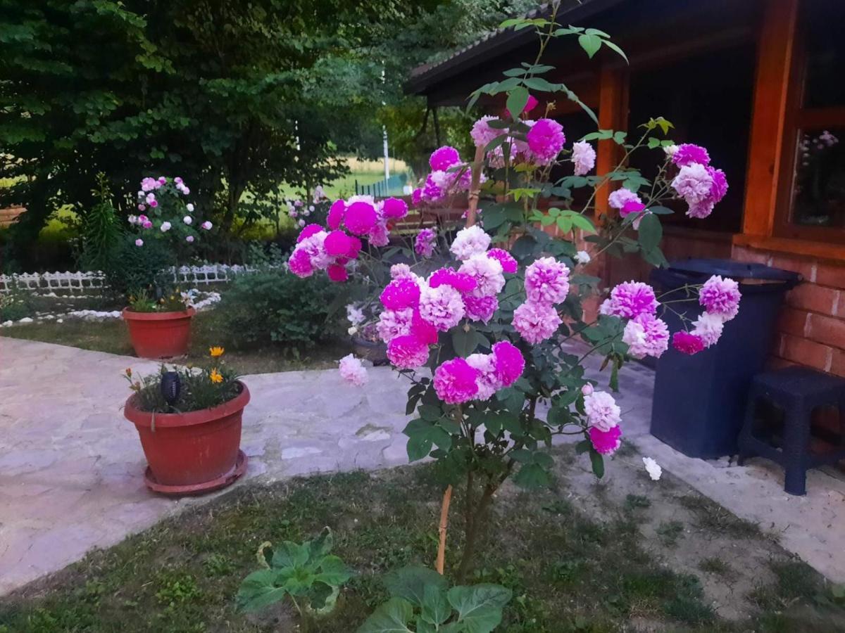 Live Nature Bihac Luaran gambar