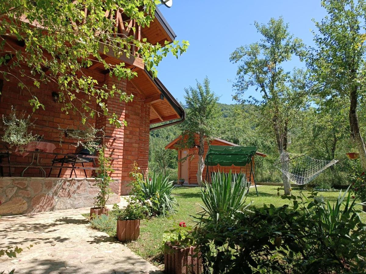 Live Nature Bihac Luaran gambar