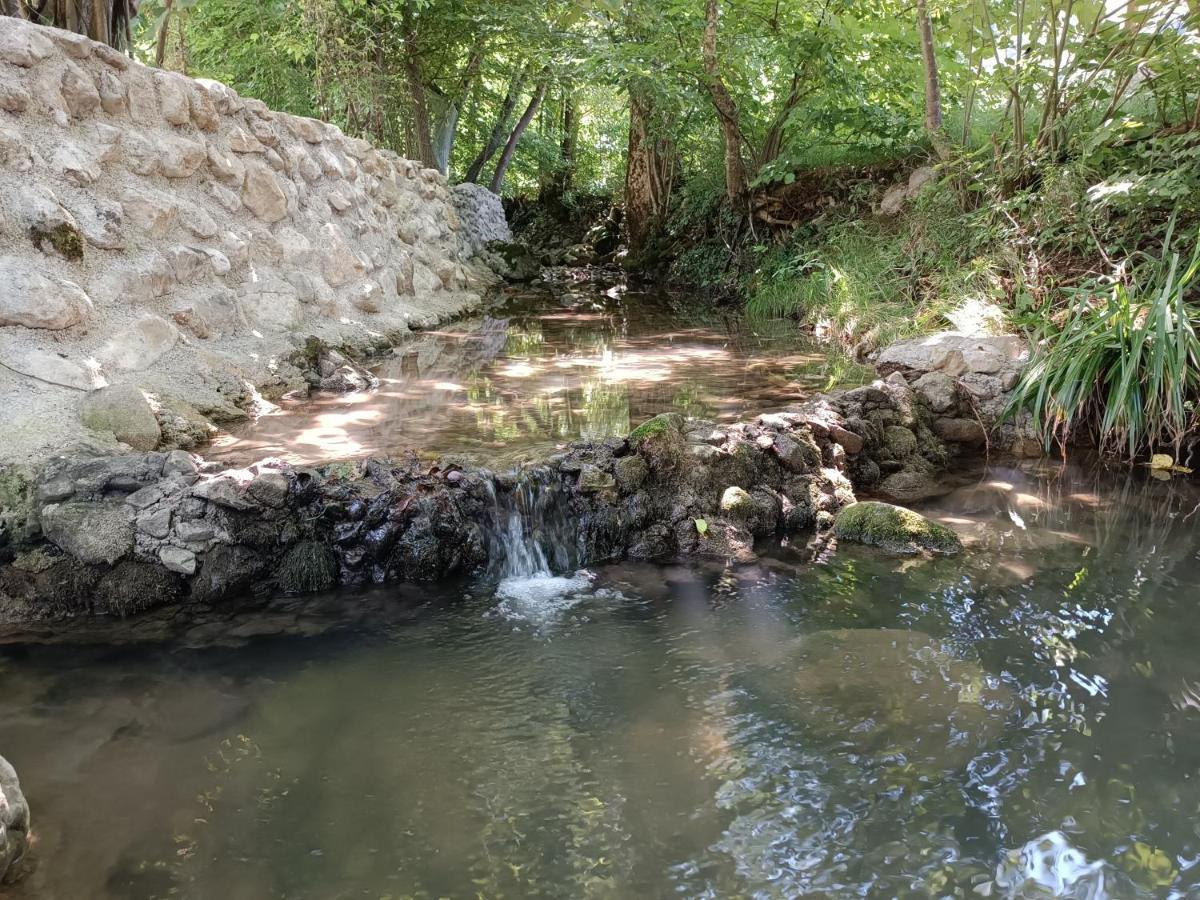 Live Nature Bihac Luaran gambar