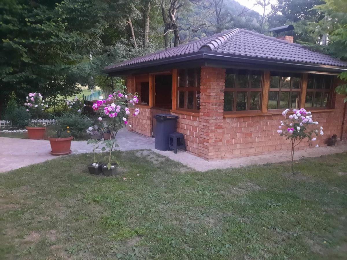 Live Nature Bihac Luaran gambar