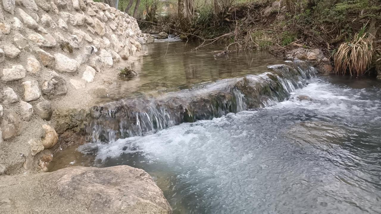 Live Nature Bihac Luaran gambar