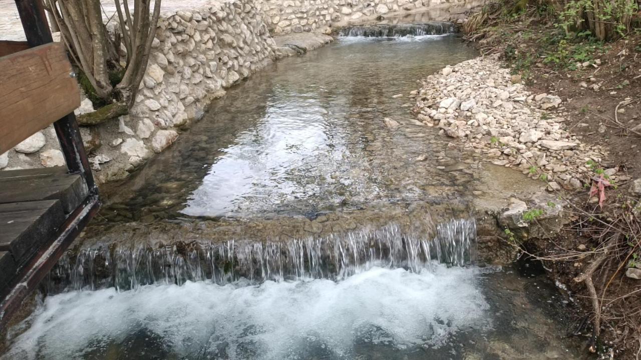 Live Nature Bihac Luaran gambar