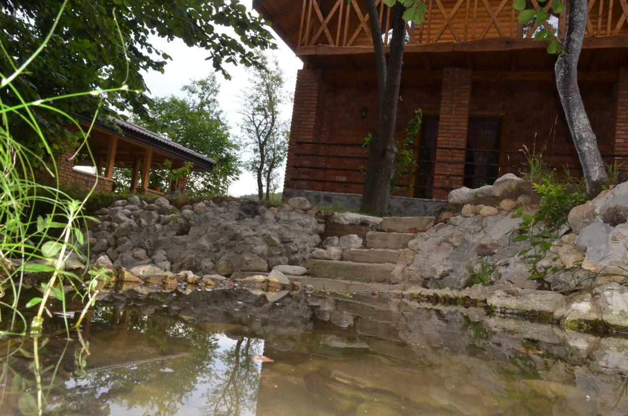 Live Nature Bihac Luaran gambar